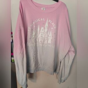 Walt Disney World parks sweatshirt
